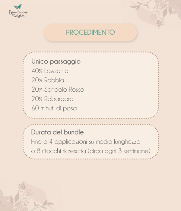 Tonalità Ginger Bronde Bundle