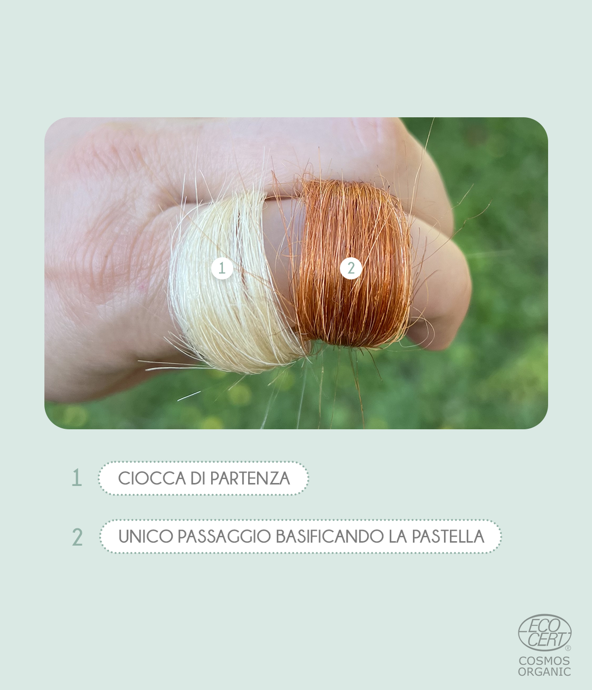 Cognac - Mix Erbe Tintorie Cosmos Organic