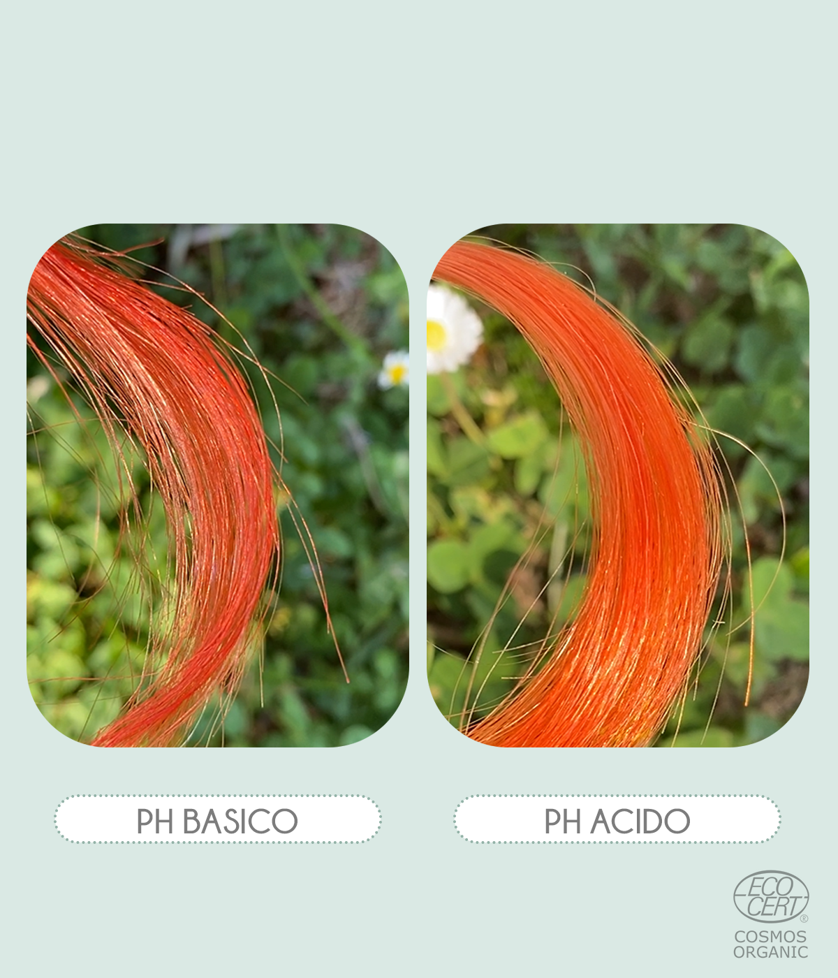 Robbia / Manjistha BIO - Riflessante Naturale Rosso Ciliegia Cosmos Organic
