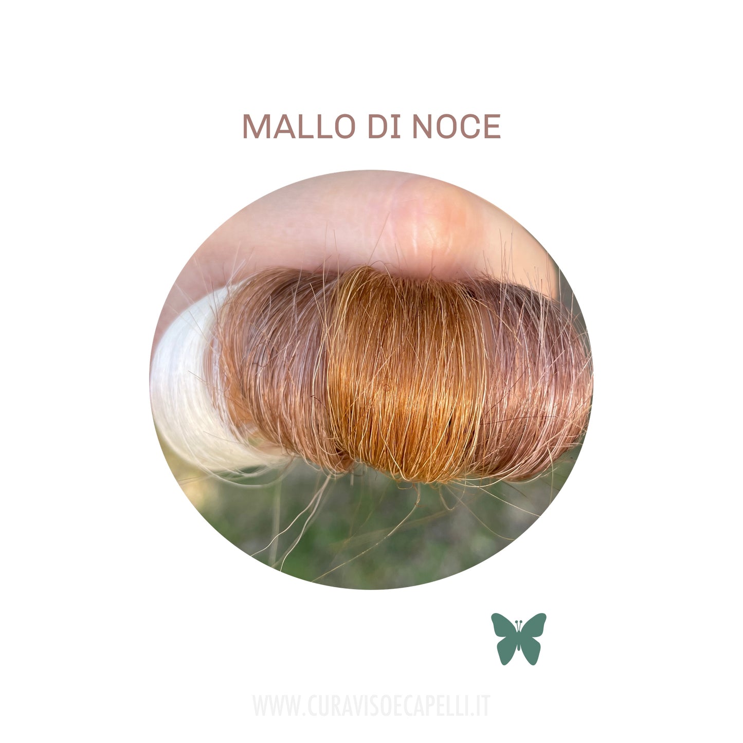 Walnut Husk - Natural Brown or Brown Tone Hair Reflector